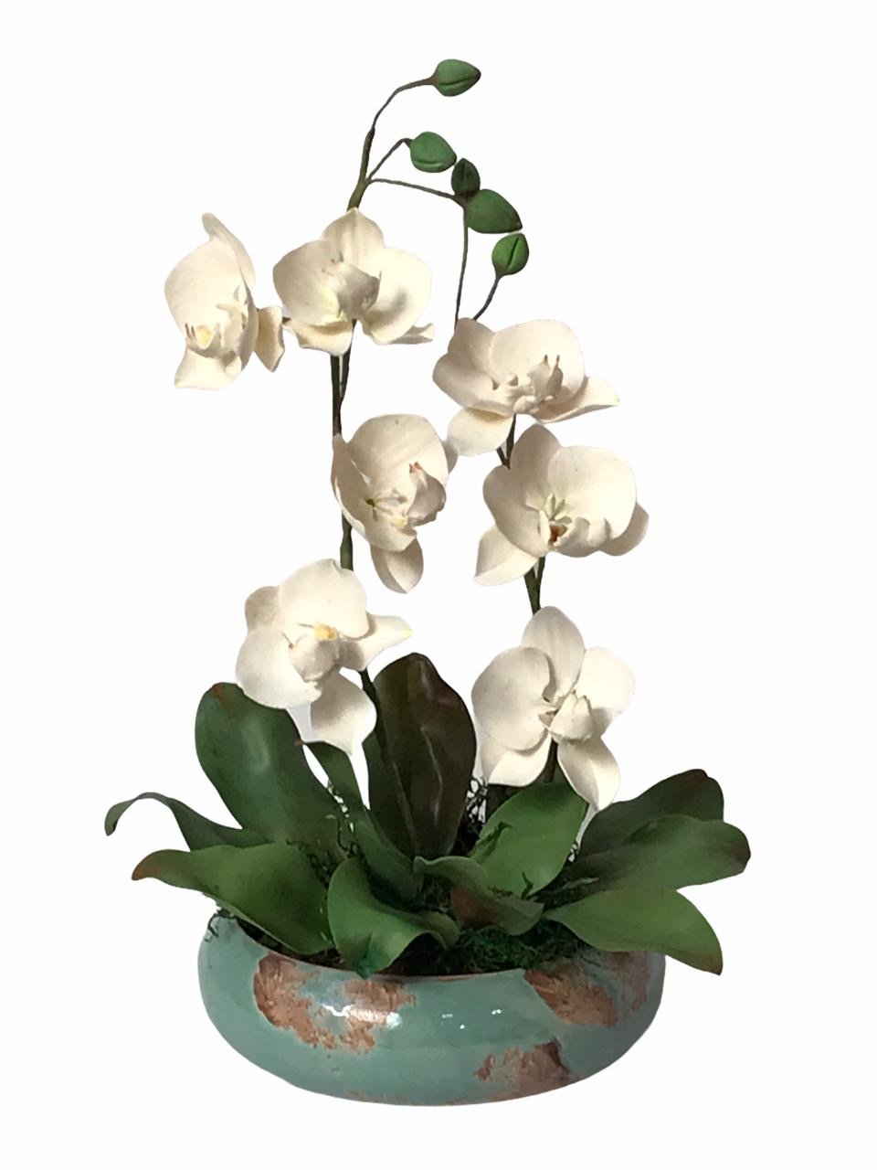 Imagem do produto ORQUIDEA PHALA MICROP. X8 AZ 1M 33068-004 FLOR ARTE