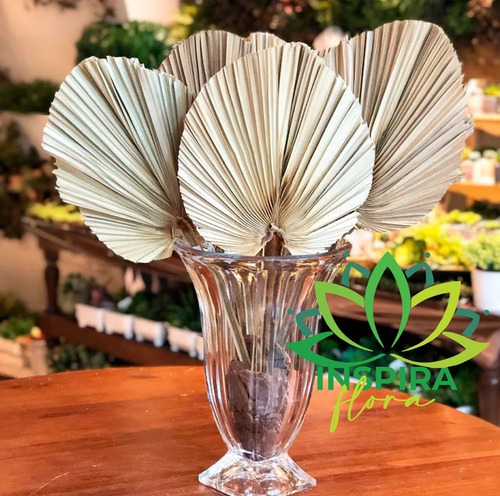 Imagem do produto C.FOLHA LATANIA CINZA 82CM FLORARTE