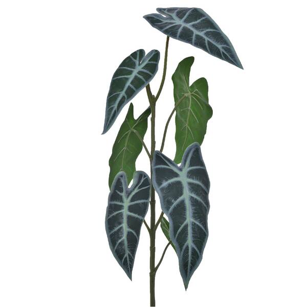 Imagem do produto FOLHA PVC 65CM ORELHA DE ELEFANTE GRILLO]