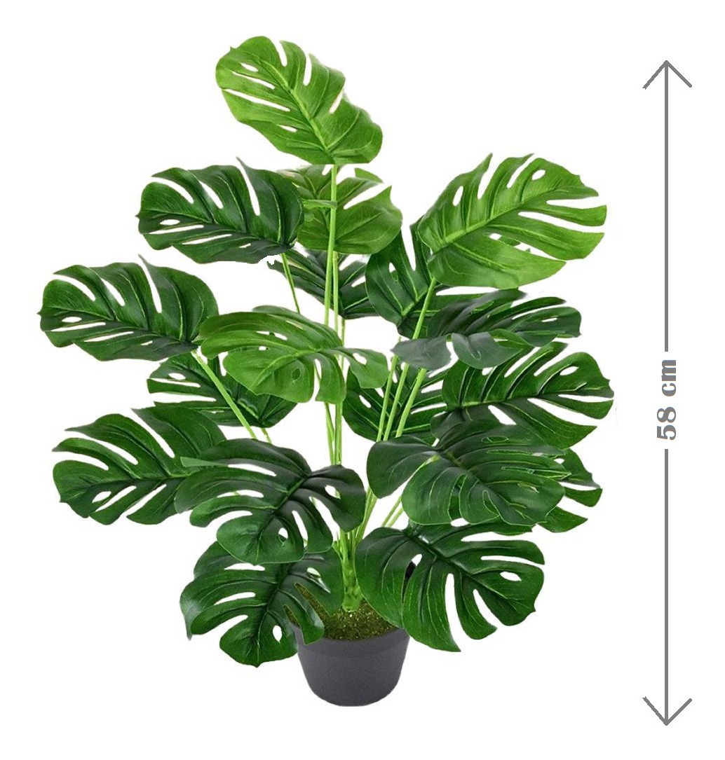 Imagem do produto A.COSTELA DE ADAO REAL TOQUE X18 VD 60CM FLORARTE