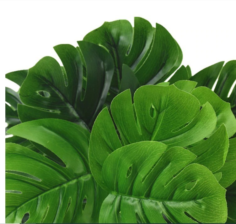 Imagem do produto A.COSTELA DE ADAO REAL TOQUE X7 VD 60CM FLORARTE