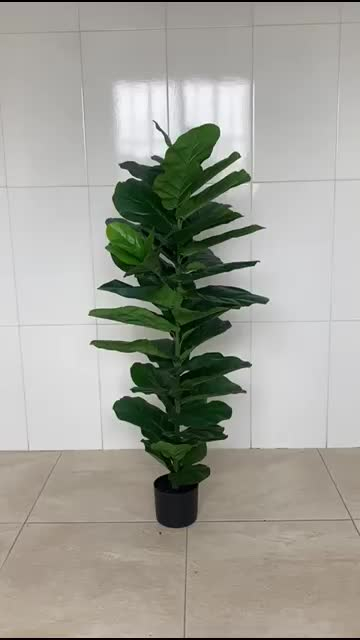 Imagem do produto A.FICUS LYRATA REAL TOQUE C/POTE X42 VERDE 1M FLORARTE
