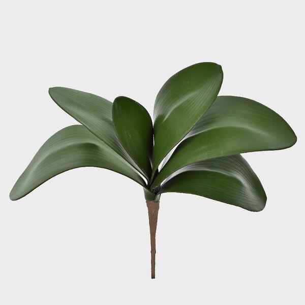 Imagem do produto FOLHA ORQUIDEA REAL TOQUE X8 VERDE 42CM 40782-001 FLORARTE