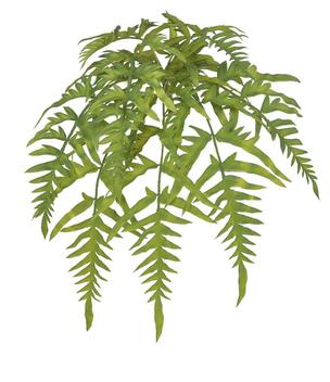 Imagem do produto F.SAMAMBAIA PENDURAR C/PRINT PLT. X8 VD OUT 46CM FLORARTE