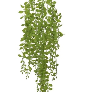 Imagem do produto F.SUCULENTA PENDURAR PLT. X69 VD 74CM FLORARTE