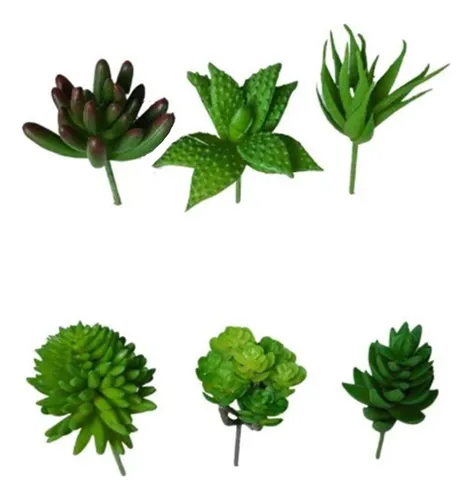 Imagem do produto F.SUCULENTA SORTIDAS C/6 UNI VERDE 7CM FLORARTE