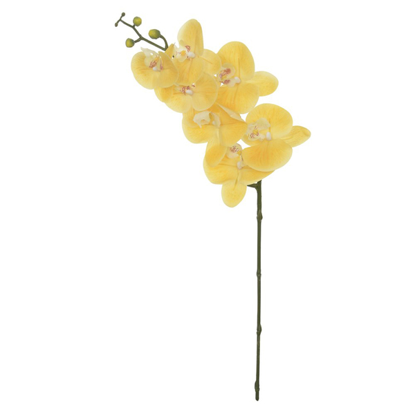 Imagem do produto ORQUIDEA REAL TOQUE X7 AMARELO 43599-005 GRILLO