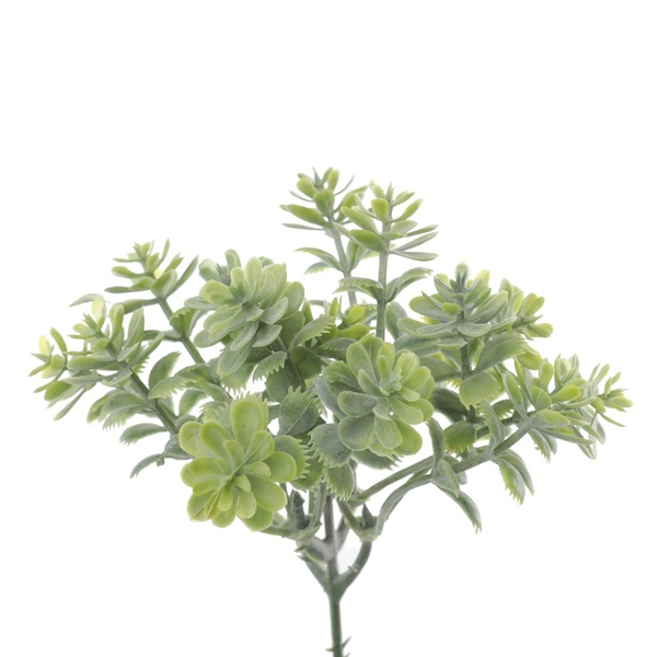 Imagem do produto PICK AGLAIA SUCULENTA VERDE VERMELHO 20CM 35148-002 FLORARTE