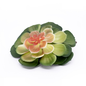 Imagem do produto PL SUCULENTA X2 28404-035 VERMELHO VERDE GRILLO