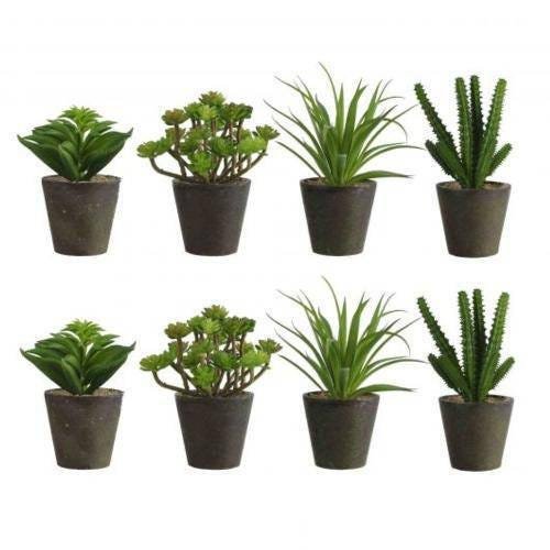 Imagem do produto SUCULENTA AMARELO 15CM 39798-007 FLORARTE