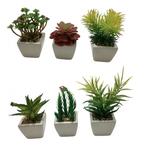 Imagem do produto SUCULENTA VD 8CM 35060-001 FLORARTE