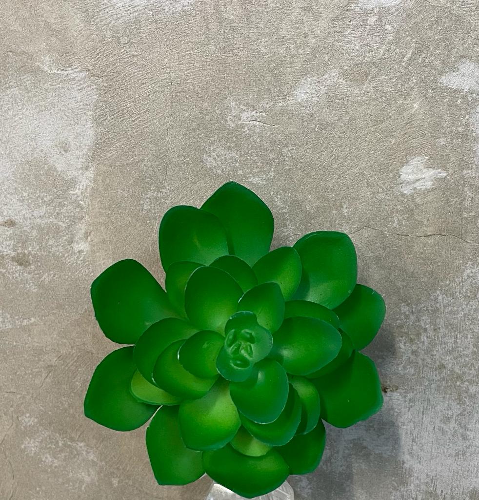 Imagem do produto SUCULENTA VERDE 8CM 35062-001 FLORARTE