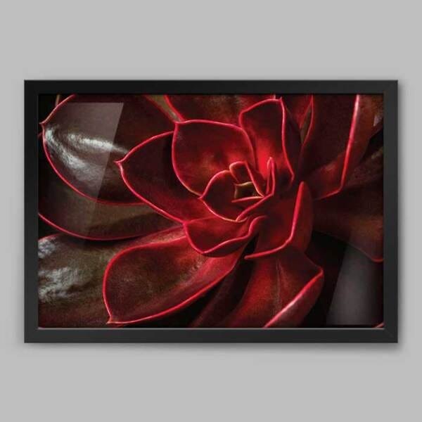 Imagem do produto SUCULENTA VERMELHO 2T OUTONO 17CM 25336-006 FLORARTE