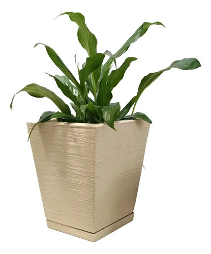 Imagem do produto VASO PLANTA QUADRADO 6,5CM FLORARTE