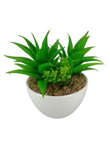 Imagem do produto ARRANJO SUCULENTA COR SORTIDAS GRILLO