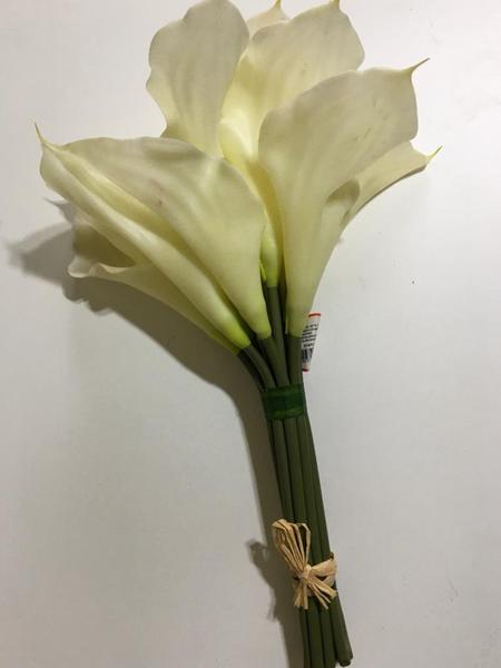 Imagem do produto BQ COPO DE LEITE X12 MD BRANCO GRILLO