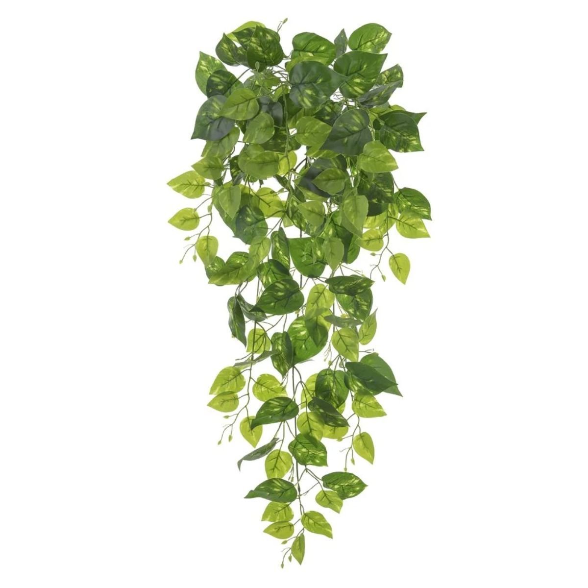 Imagem do produto F.GRASS PENDURAR PLT. X195 VERDE 80CM FLORARTE