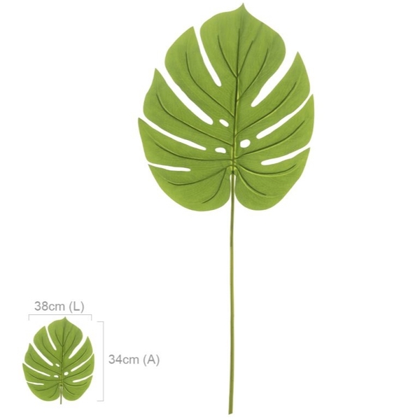 Imagem do produto FOLHA COSTELA DE ADAO LX PU VERDE GRILLO