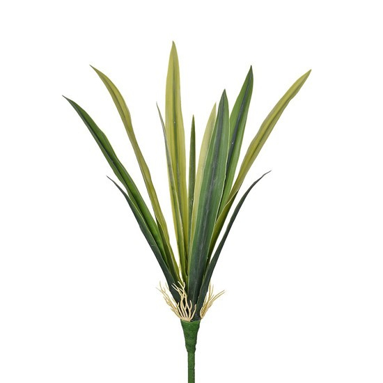 Imagem do produto FOLHA DE AMARILIS X13 MD VERDE GRILLO