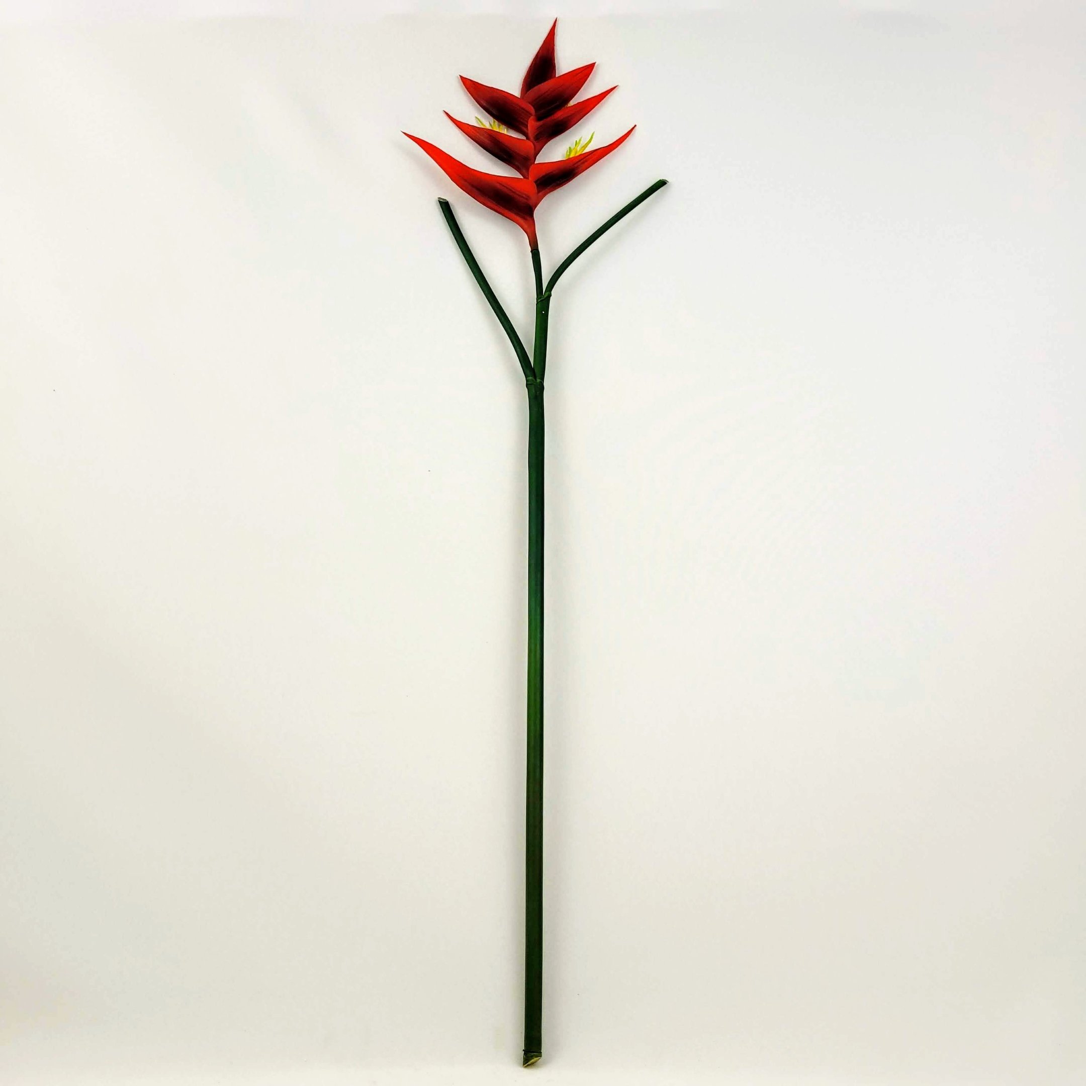 Imagem do produto H.HELICONIA VERMELHO 1,38M FLORARTE