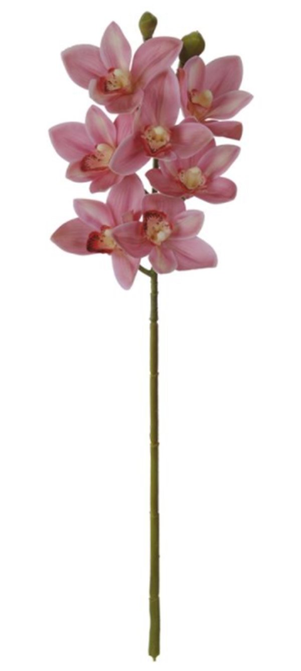 Imagem do produto H.ORQUIDEA CYMBIDIUM CETIM X5 VERM 54CM FLORARTE