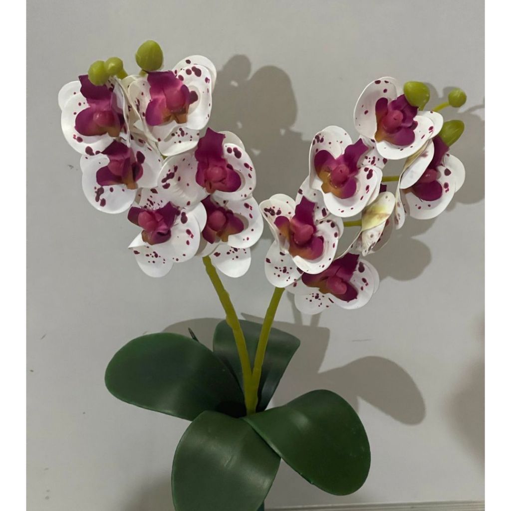 Imagem do produto ORQUIDEA CETIM X11 C/FOLHAS BEGE 30548-040 GRILLO