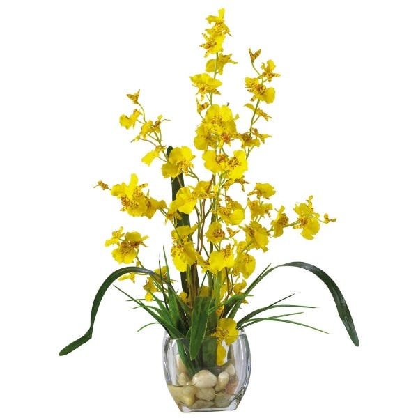 Imagem do produto ORQUIDEA CHUVA DE OURO X5 AMARELO 29200-005 GRILLO