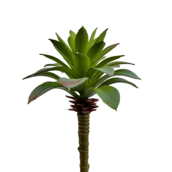 Imagem do produto AGAVE SUCULENTA PLT VERM 17CM 19122001F FLOR ARTE