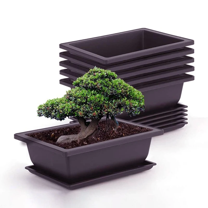 Imagem do produto BONSAI C/POTE PLT. AM 27CM 36265-002 FLOR ARTE