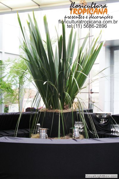 Imagem do produto FOLHA FORMIO X9 VD 90CM 29558-001 FLOR ARTE