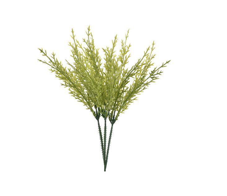 Imagem do produto FOLHAGEM CORAL BR GRILLO