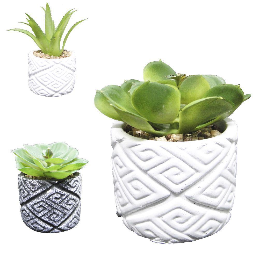 Imagem do produto SUCULENTA C/VASO VD 8CM 29163001 FLOR ARTE