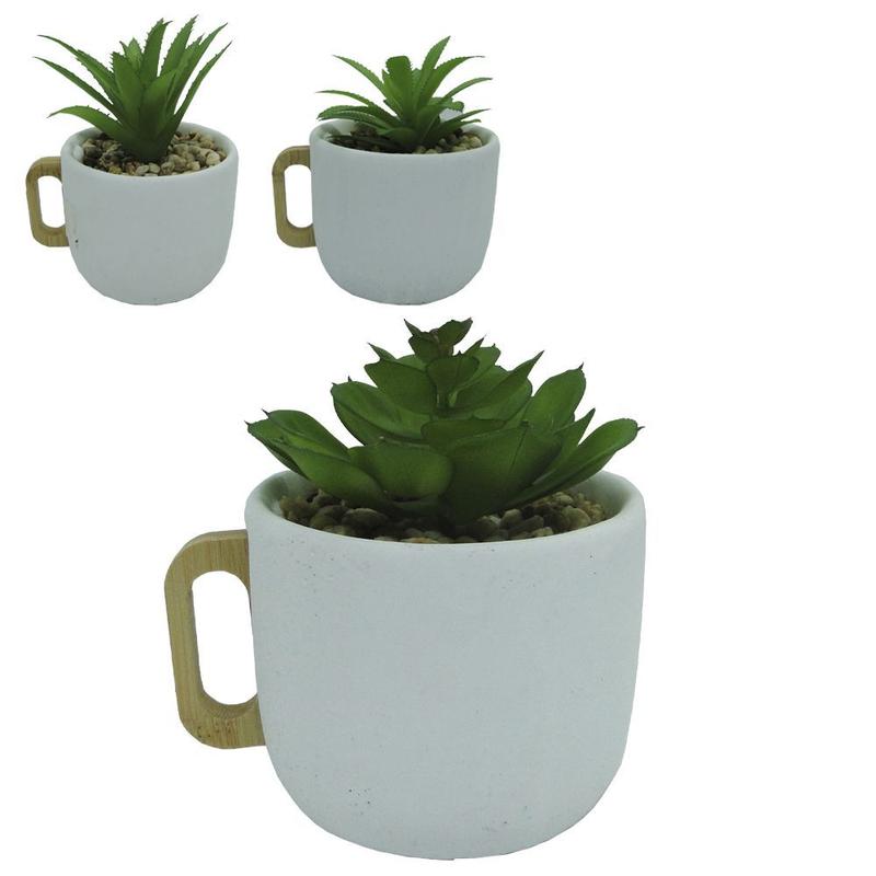 Imagem do produto SUCULENTA VD 10CM 35031-001 FLOR ARTE