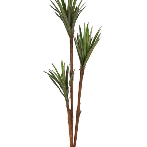 Imagem do produto YUCCA X60 VD/VM 1,7M 41410-001 FLOR ARTE