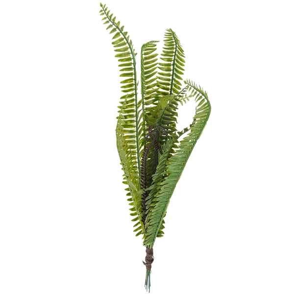 Imagem do produto ARRANJO AVENCA VERDE GRILLO