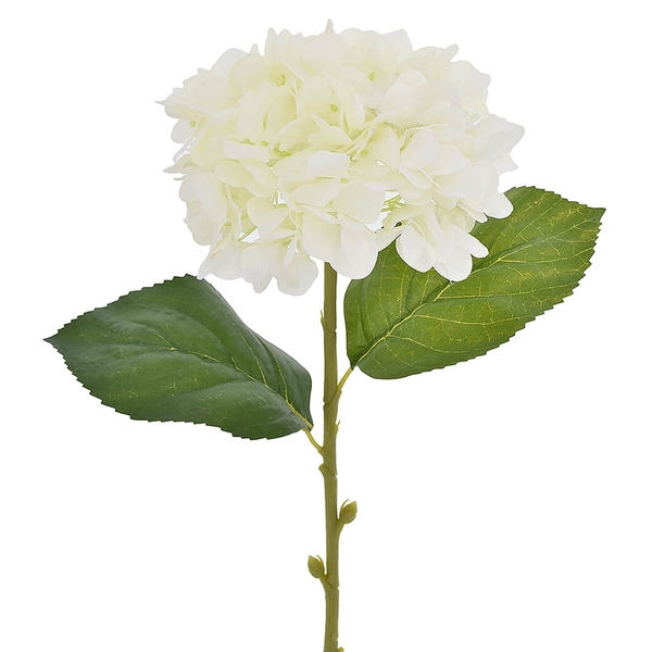 Imagem do produto HORTENSIA OUTONADA CREME 40755-010 GRILLO