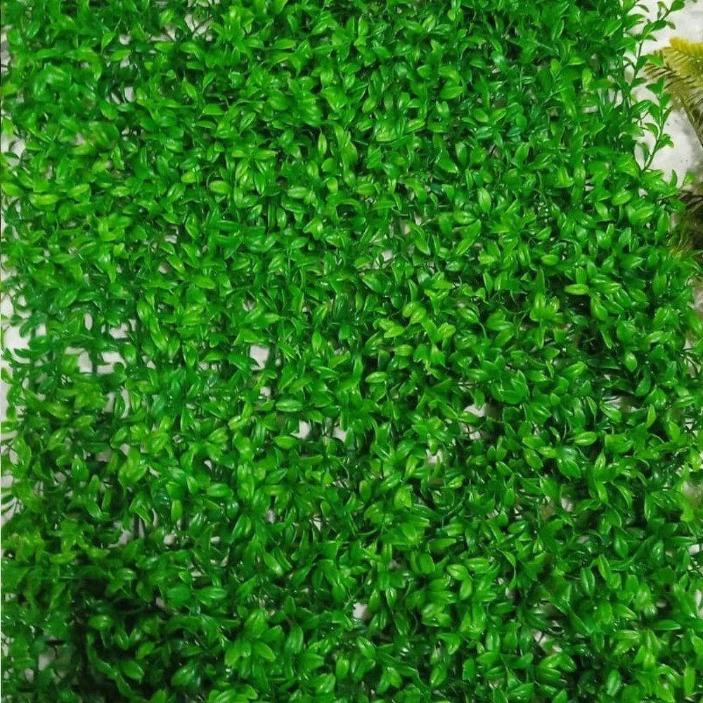 Imagem do produto GRASS PLT VD 2T 70CM 26462-002 FLOR ARTE