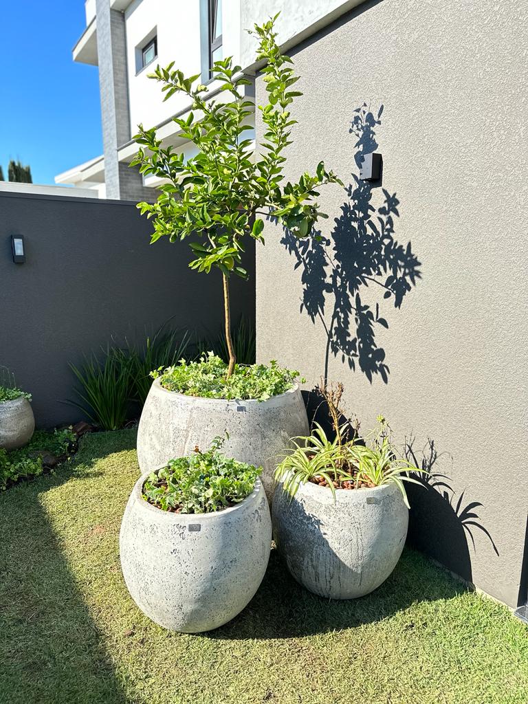 Imagem do produto VASO COSMOPOLITAN N05 CIMENTO EUROVASOS