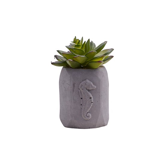 Imagem do produto ARRANJO SUCULENTA SORTI C/ POTE QUAD VERDE 46953-004 GRILLO