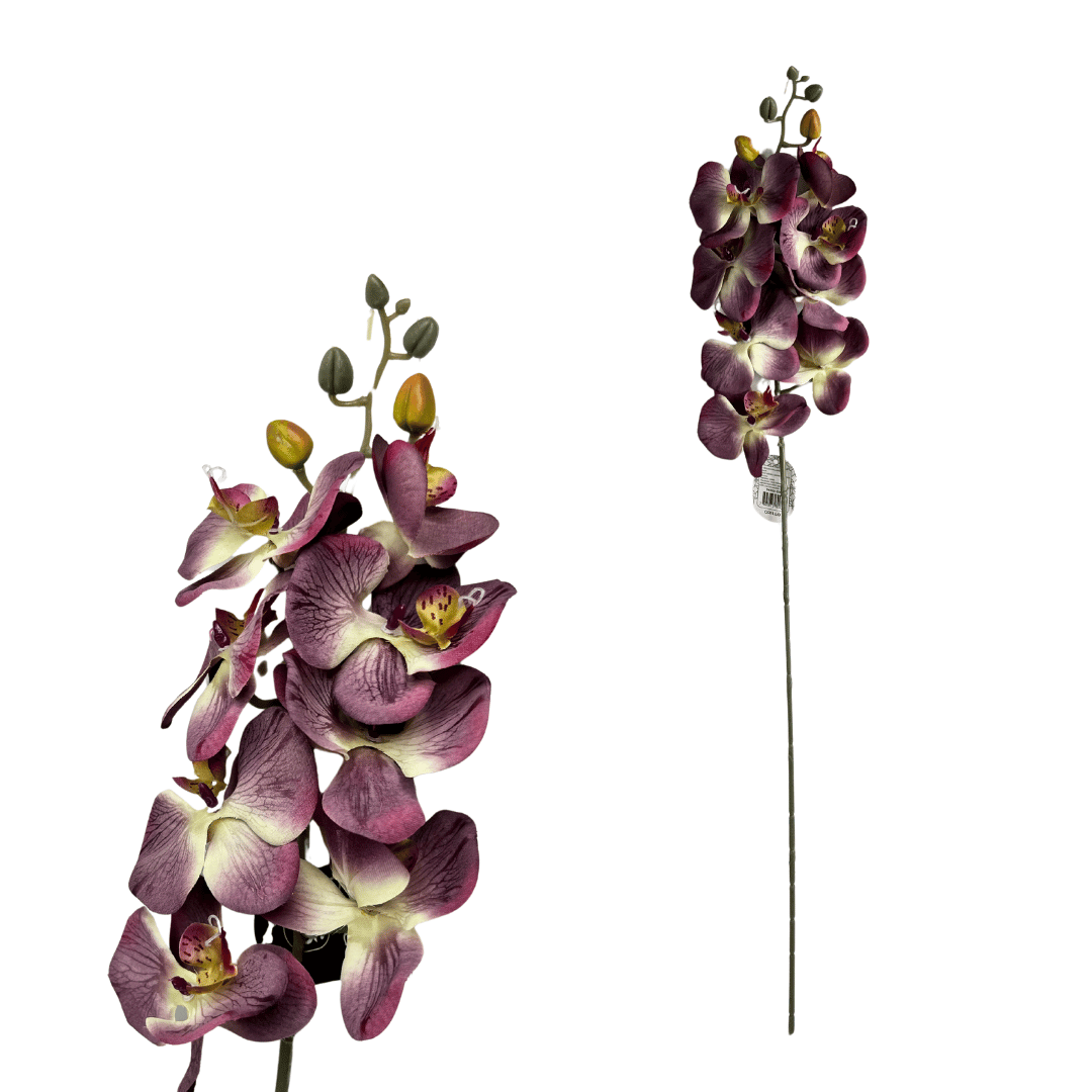 Imagem do produto HORTENSIA CETIM LX MALVA 49034-539 GRILLO