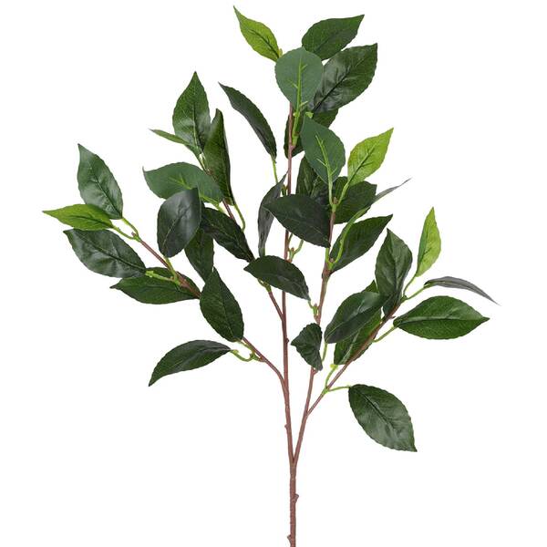 Imagem do produto HT FOLHAS DE LOURO X5 VERDE 46390-004 GRILLO