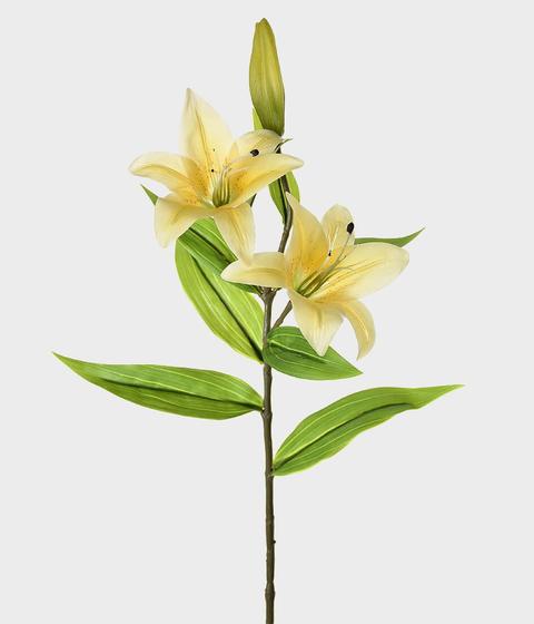 Imagem do produto LIRIO CETIM X3 AMARELO 46358-005 GRILLO