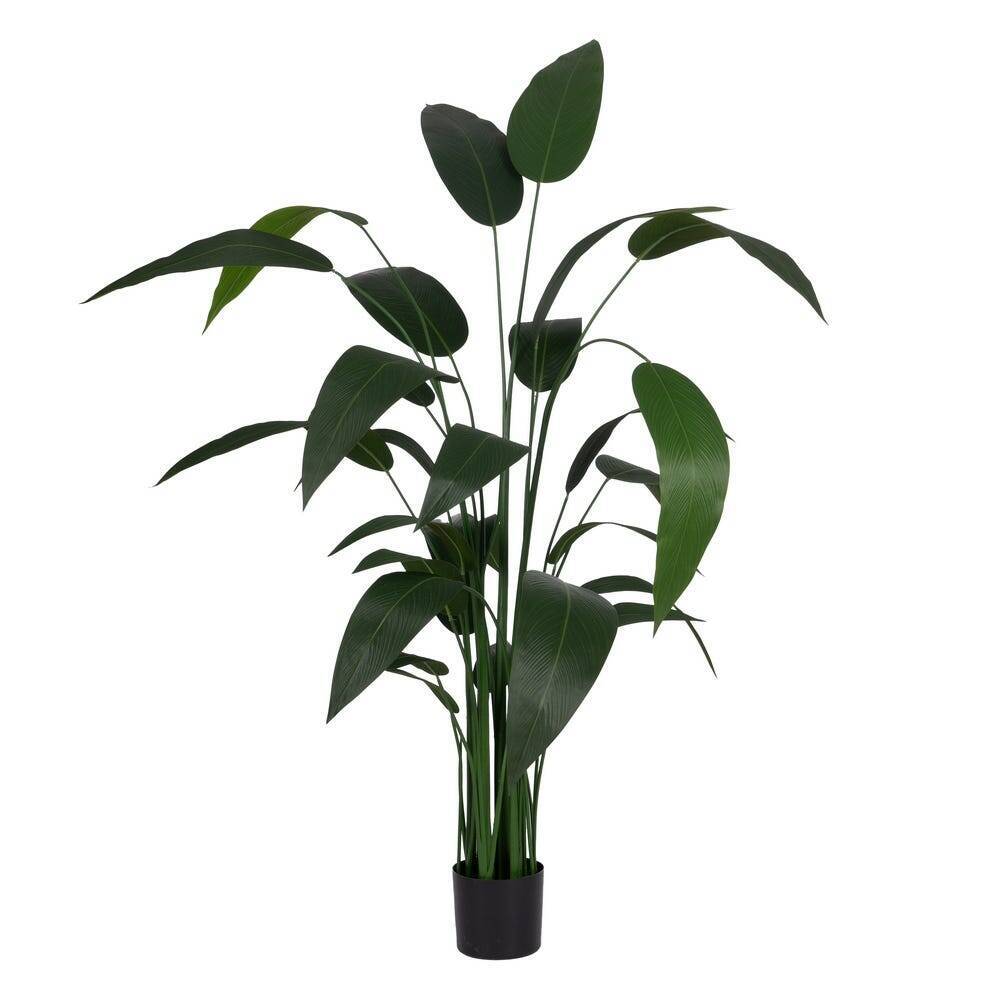 Imagem do produto STRELITZIA LX 135CM VERDE 47777-004 GRILLO