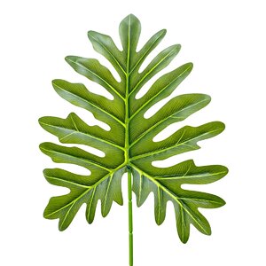 Imagem do produto AVENCA X7 TOQUE REAL VERDE 46463-004 GRILLO