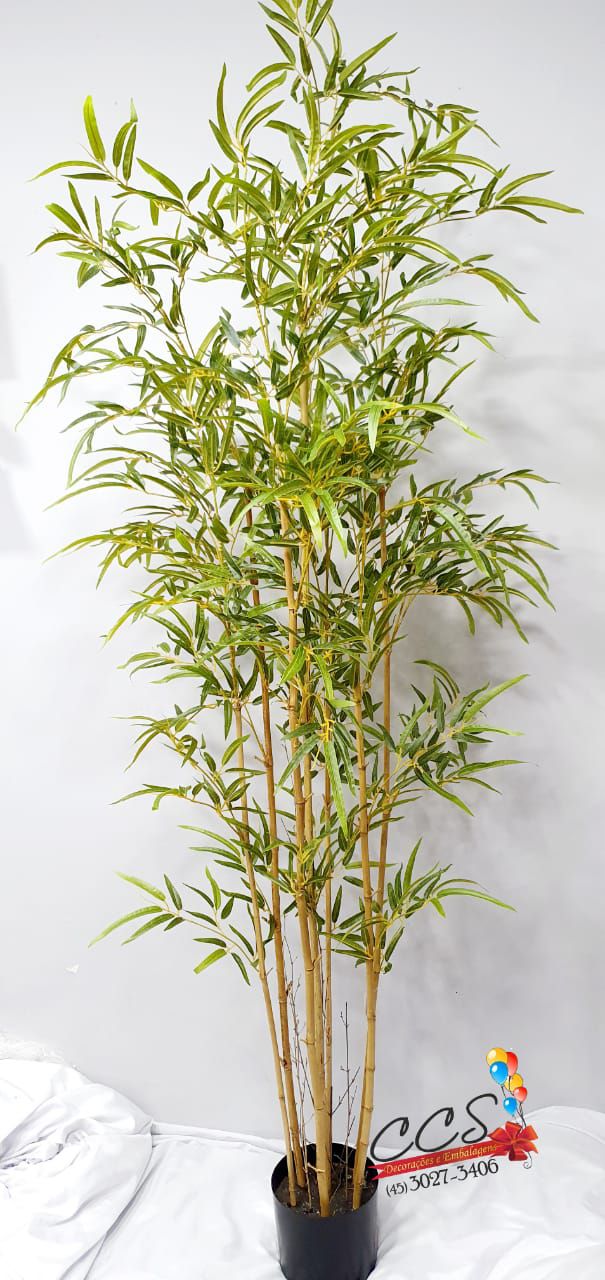 Imagem do produto BAMBU X6 NATURAL 21582-380 GRILLO