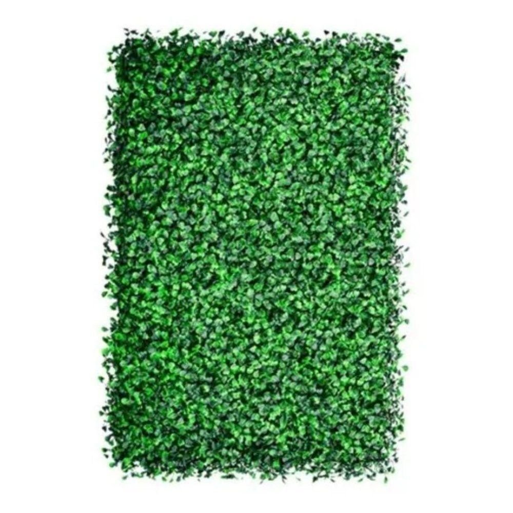 Imagem do produto CICUS X7 OUTONADO VERDE 46393-004 GRILLO