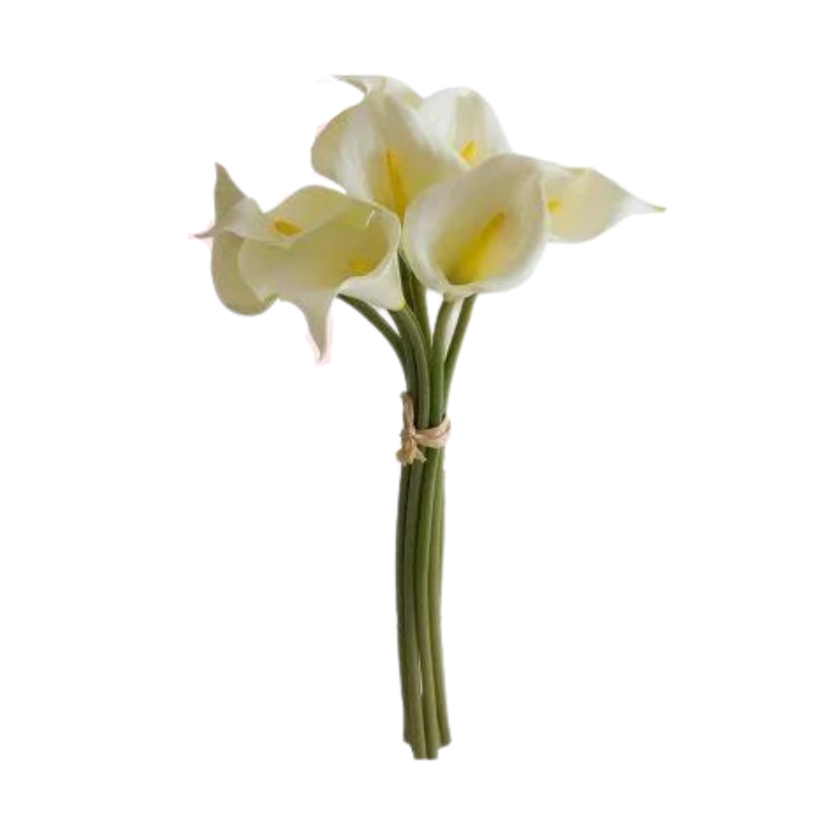 Imagem do produto COPO LEITE CETIM X3 BRANCO 56CM 42016-001 FLORARTE