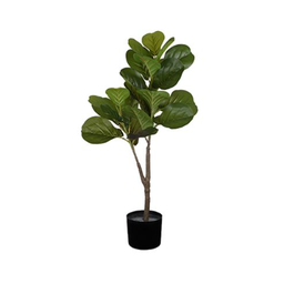Imagem do produto FICUS X2 VERDE 40787-004 GRILLO