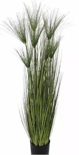 Imagem do produto GRASS PAPIRO C/ POTE VD 75CM 36303001 FLORARTE