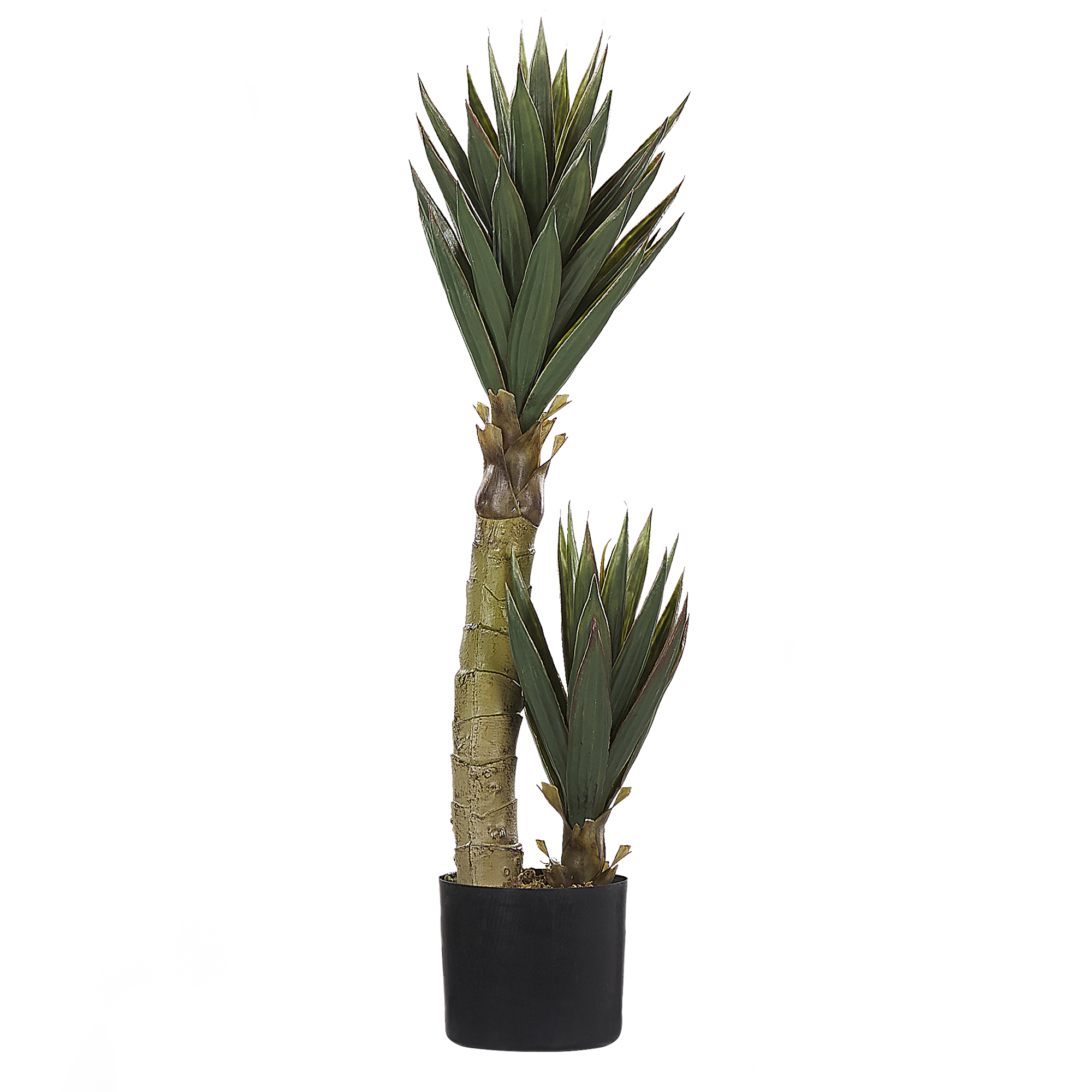 Imagem do produto YUCCA PLT. X42 VERDE 1,2M 41531-001 FLORARTE